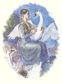 Рис. В.Конашевича