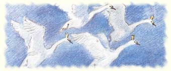 ���. �.����������