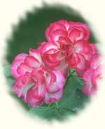 ��������� ������